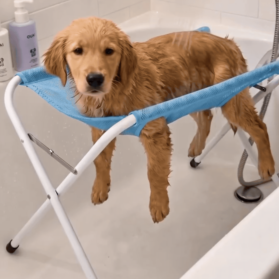 PetLift - stojak do kąpieli i pielęgnacji psa